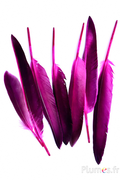 Oie Lame - 12-18 cm - fuchsia-café